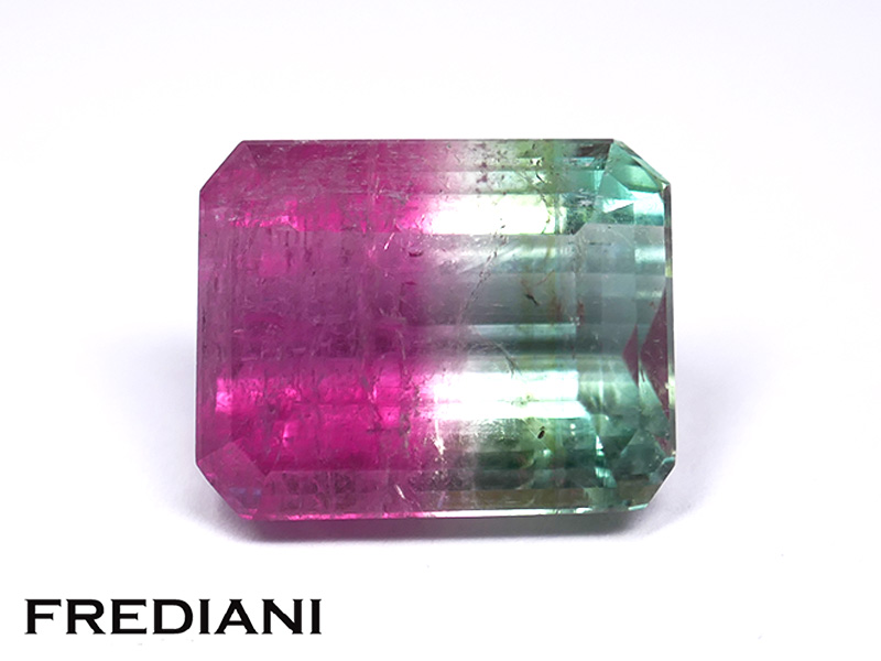 Tourmaline bicolore rectangulaire naturelle 140x113 de 11.60 carats