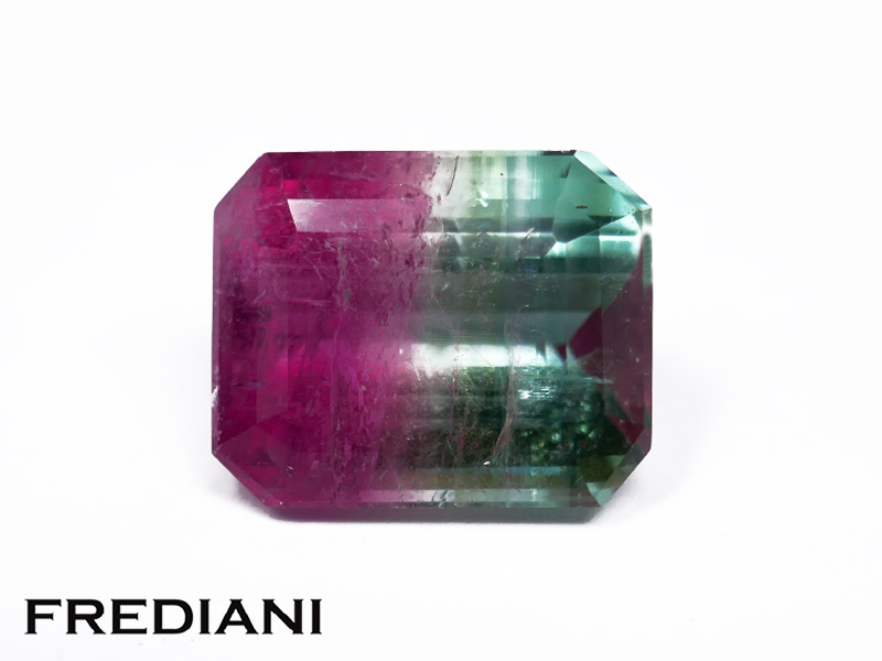 Tourmaline bicolore rectangulaire naturelle 127x103 de 8.16 carats