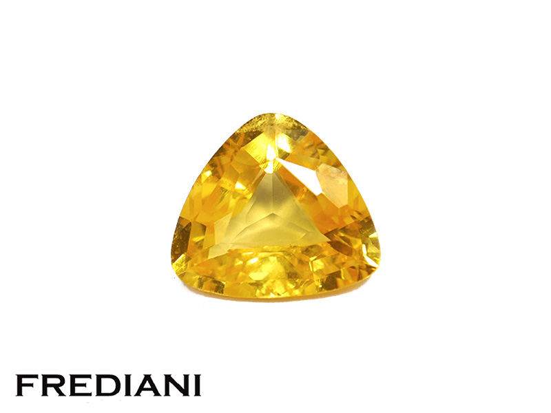Saphir jaune troïdia