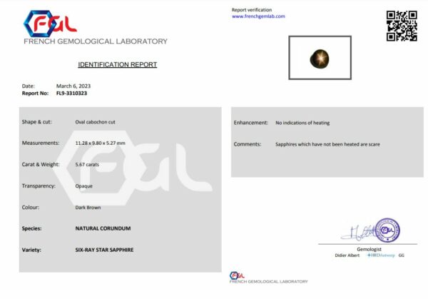 Saphir noir à étoile dorée naturel certifié – Image 2