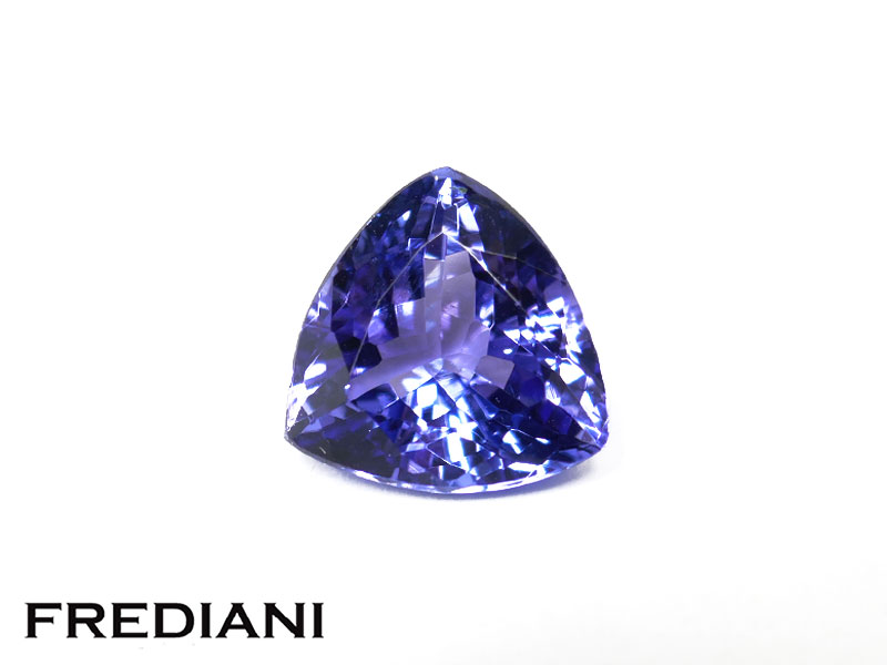 Tanzanite troïdia