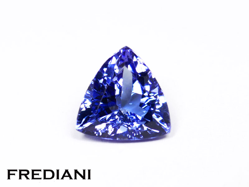 Tanzanite troïdia