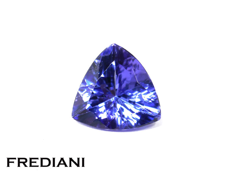 Tanzanite troïdia