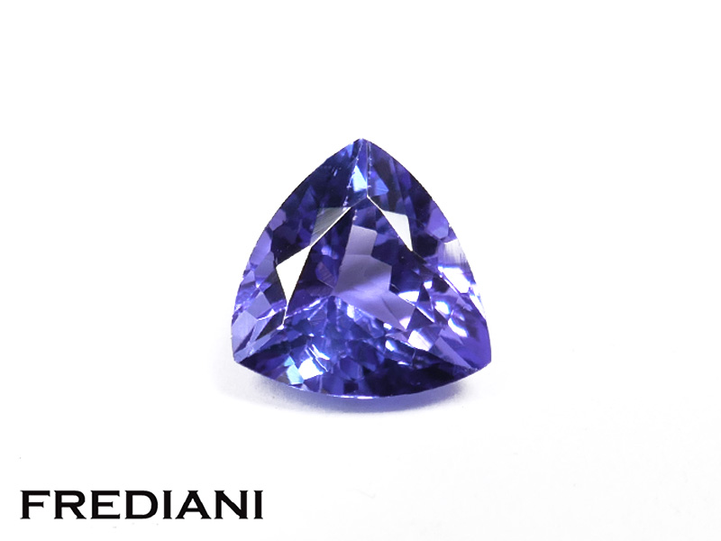 Tanzanite troïdia