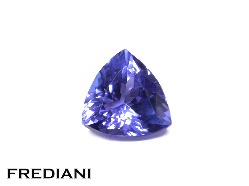 Tanzanite troïdia