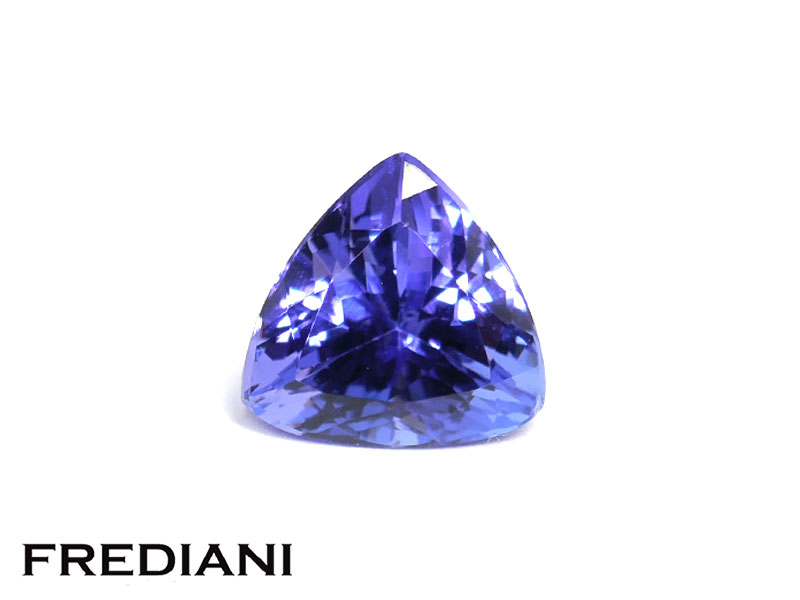 Tanzanite troïdia
