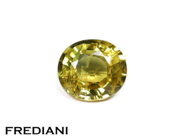 Saphir jaune ovale 72x63 de 1.52 carat