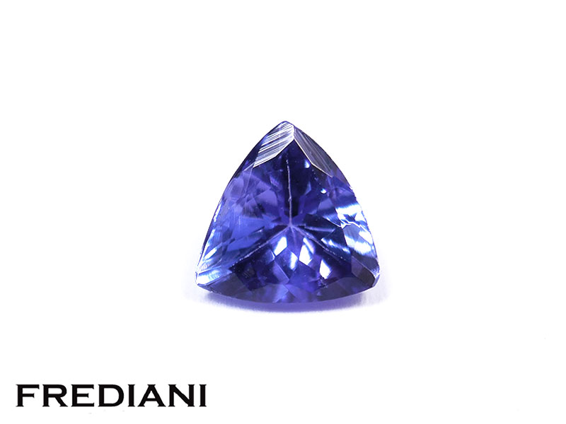 Tanzanite troïdia