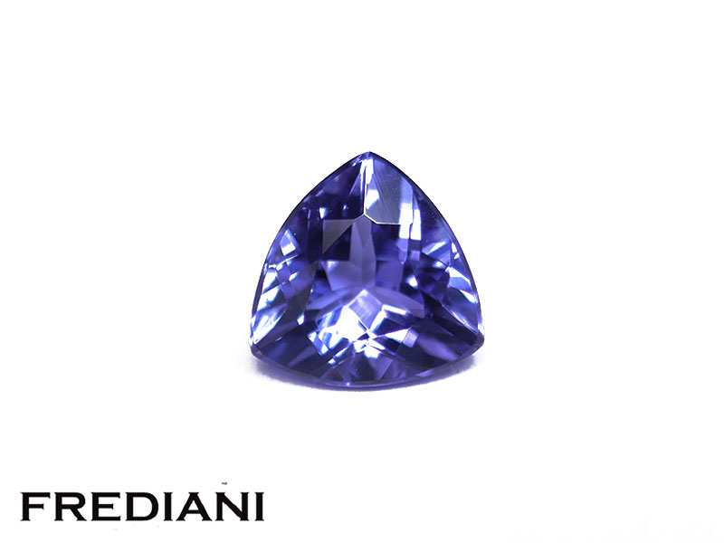 Tanzanite troïdia