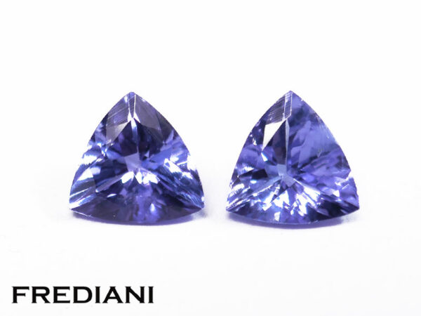 Paire de tanzanites troïdias 60x60 de 1.26 carat