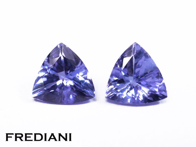 Paire de tanzanites troïdias