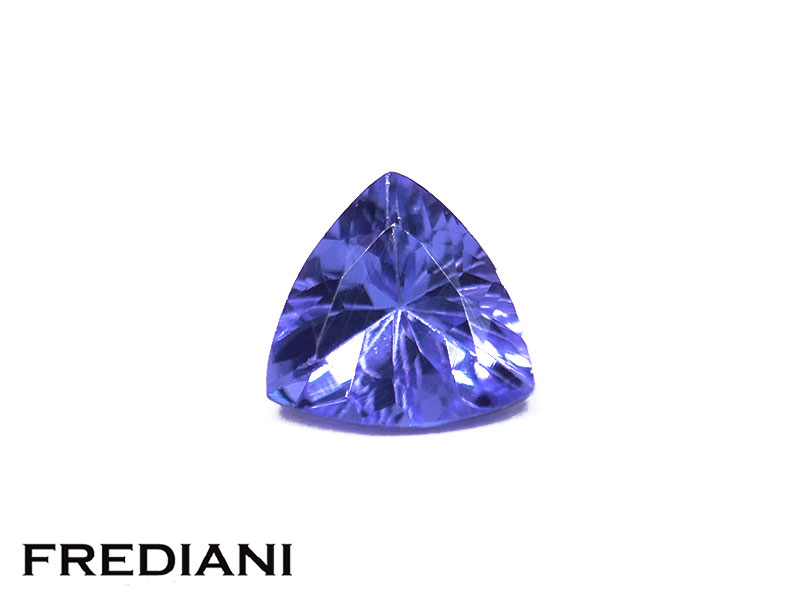 Tanzanite troïdia