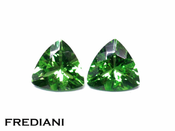 Appairage de grenats tsavorites troïdias 51x51 de 0.88 carat