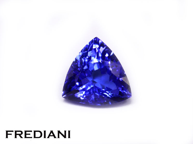 Tanzanite troïdia