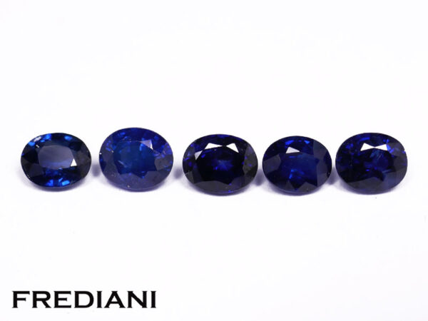 Lot de 5 saphirs bleus ovales 50x40 de 2.57 carats