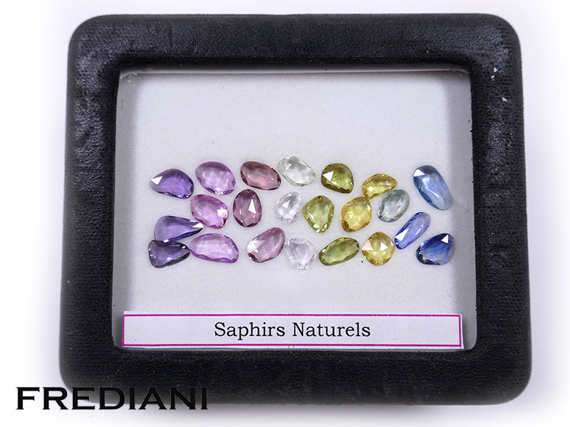 22 Saphirs de couleur naturelle taille rose de 16.84 carats