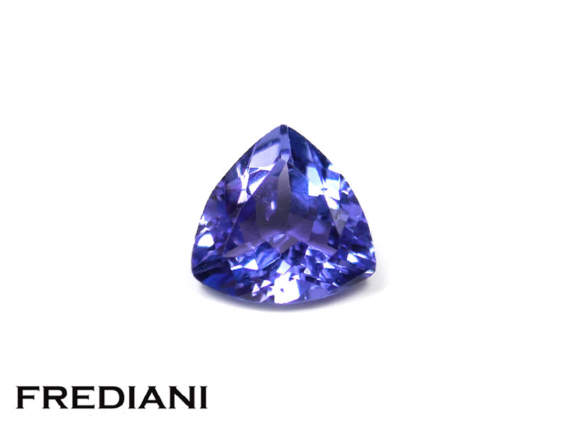 Tanzanite troïdia