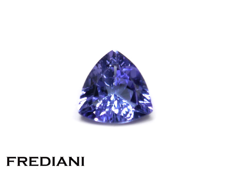 Tanzanite troïdia