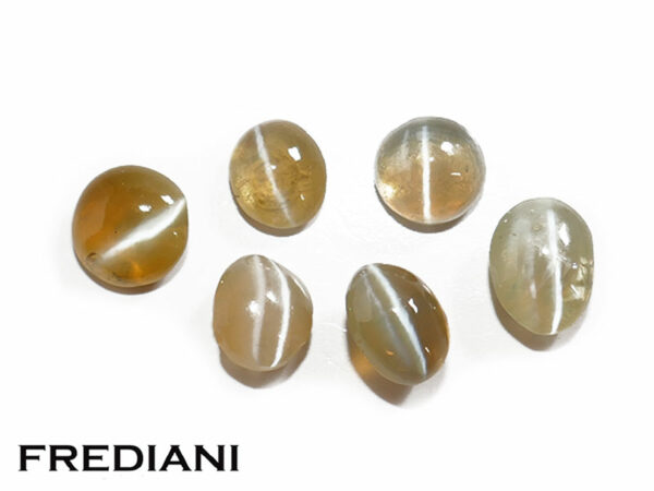 Lot de 6 chrysobéryls oeil de chat de 4.41 carats