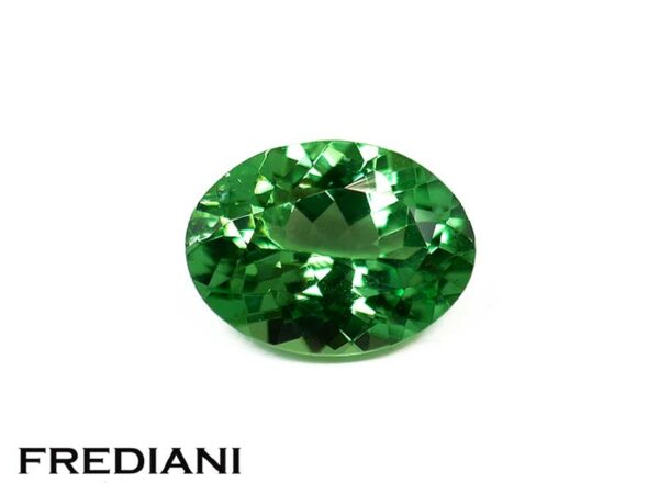 Grenat tsavorite ovale 76x56 de 1.06 carat