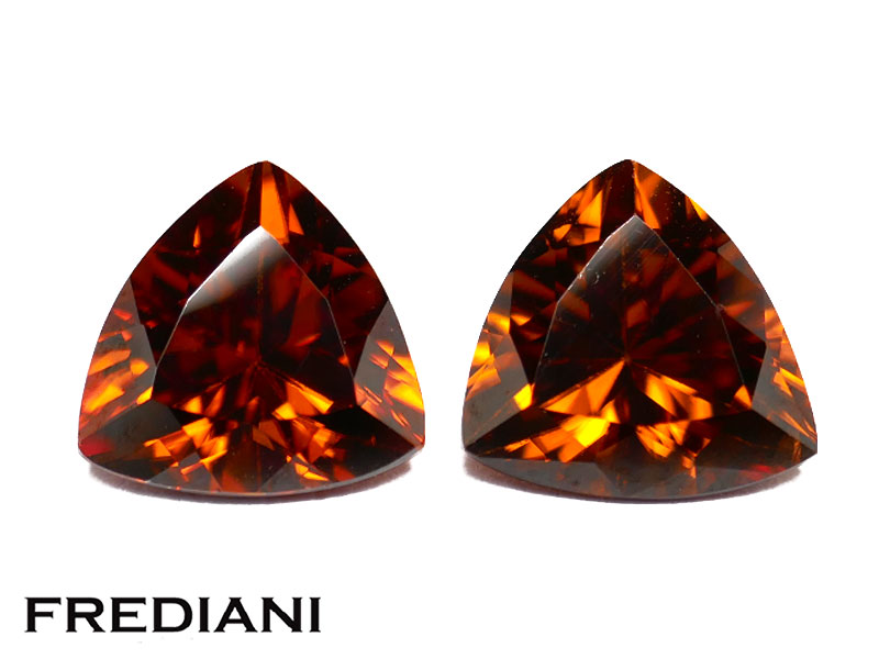 Paire de zircons bruns troïdias