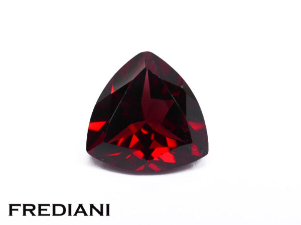 Grenat troïdia 100x100 de 3.60 carats