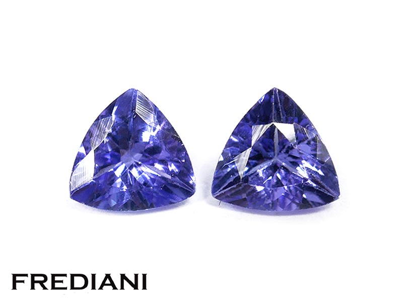 Paire de tanzanites troïdias