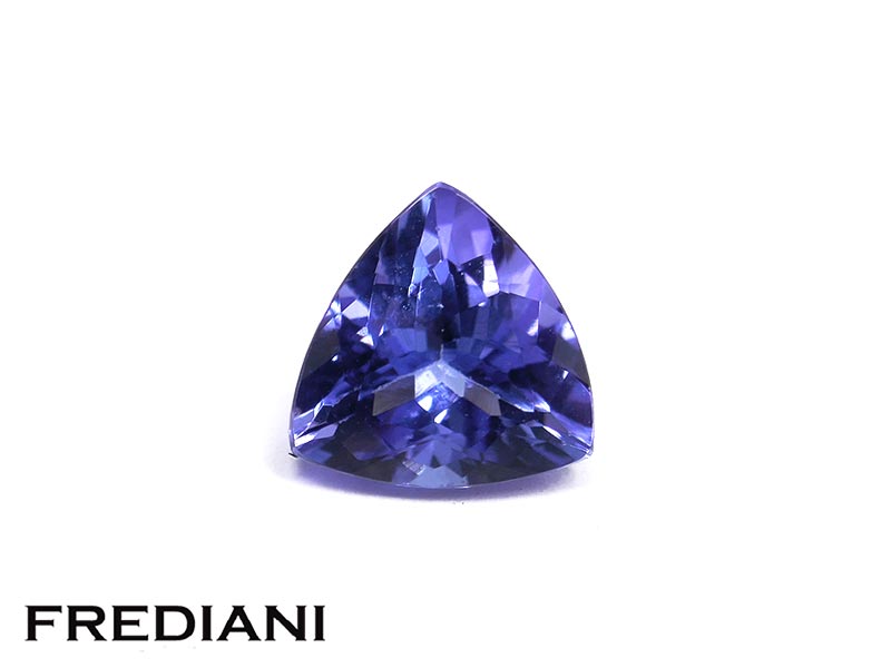 Tanzanite troïdia