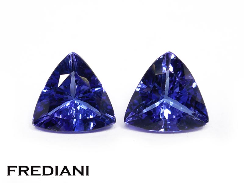 Paire de tanzanites troïdias