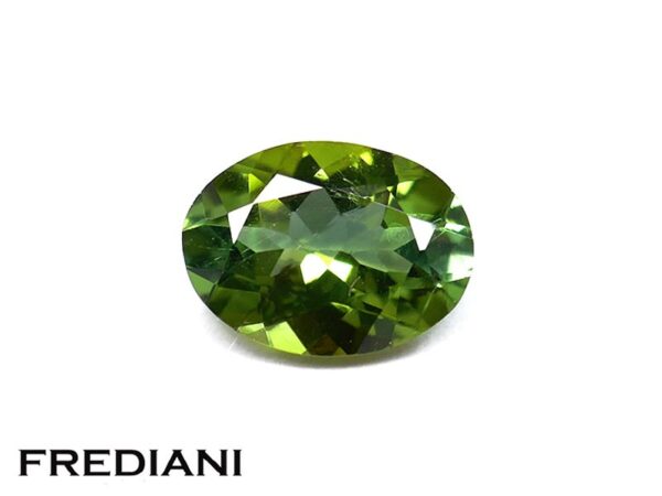 Tourmaline verte ovale 80x60 de 1.19 carat